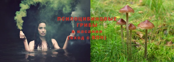 хмурый Алексеевка