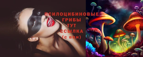 крисы Абдулино