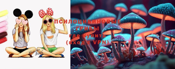 ПСИЛОЦИБИНОВЫЕ ГРИБЫ Алексин
