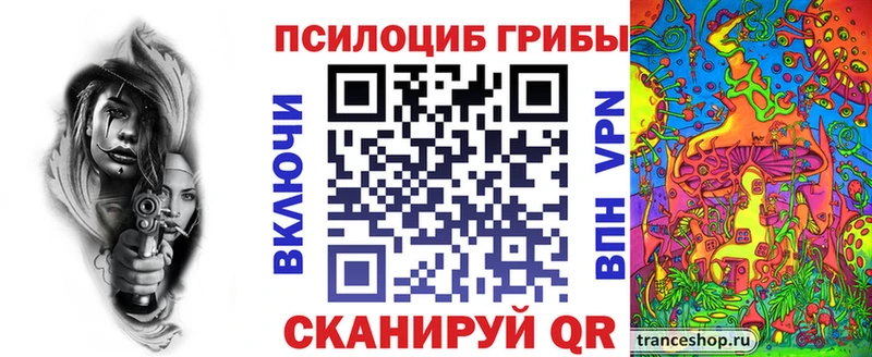 Псилоцибиновые грибы Psilocybine cubensis где продают Жиздра
